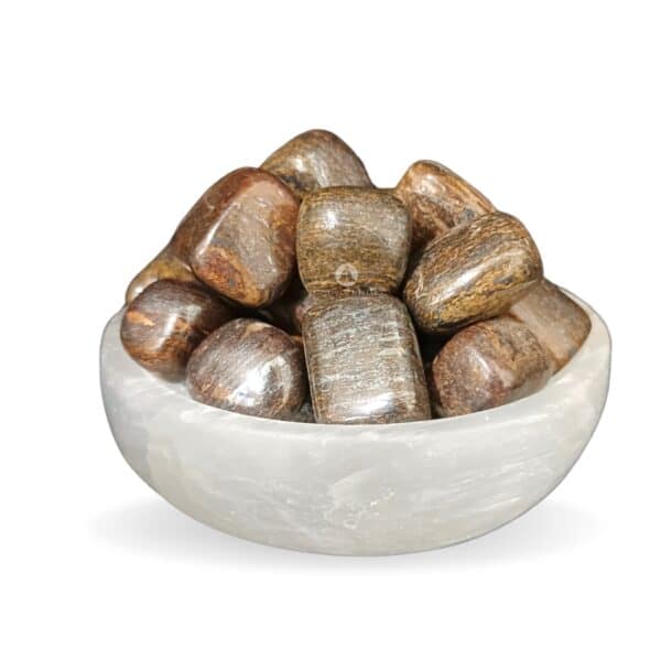 Bronzite Tumble