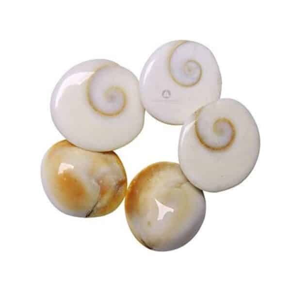 Gomati Chakra