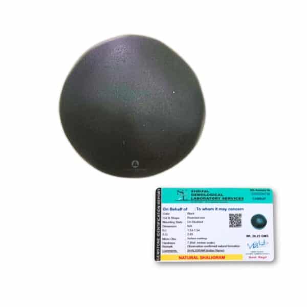 Shaligram
