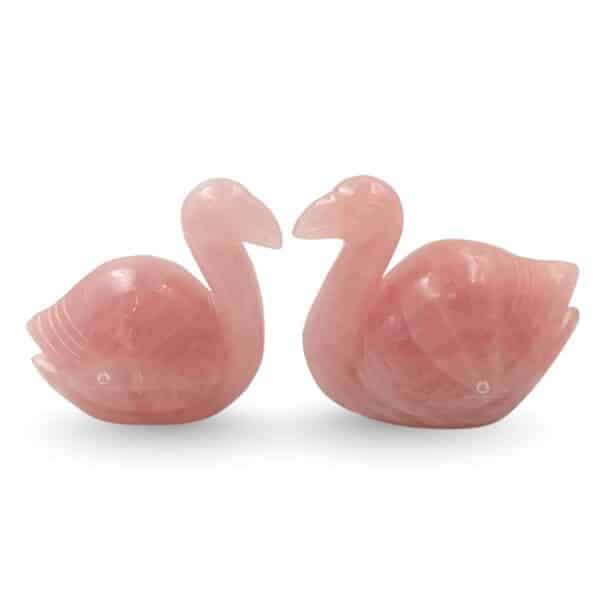 Rose Mandarine Duck Pair